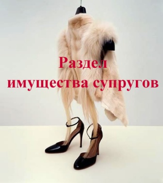 Именно так иногда и выглядит раздел совместно нажитого имущества супругов